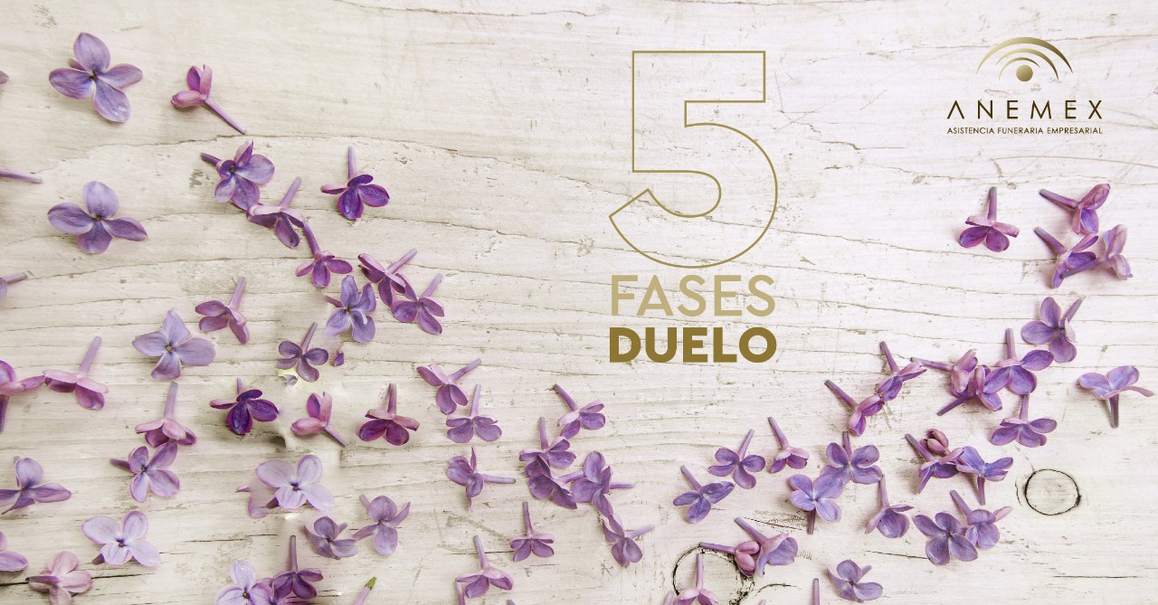 5 fases del duelo