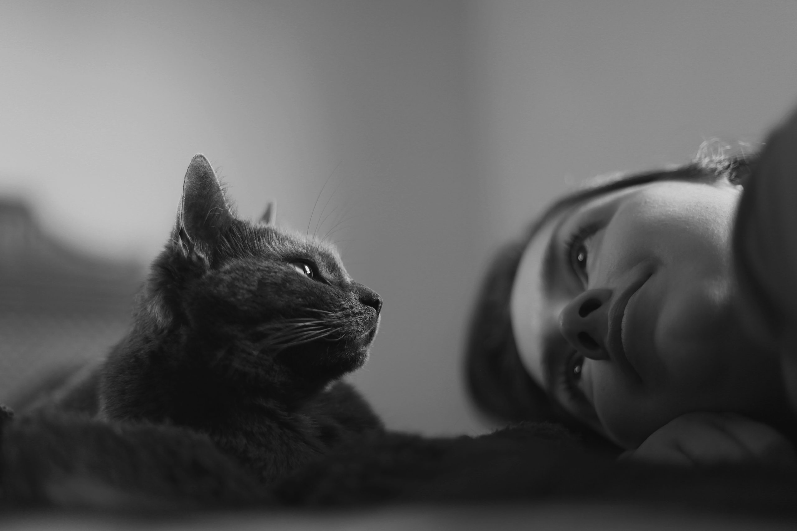 Adiós mascota